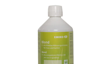 Emiko Blond