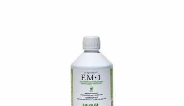 EM-1 OFFERTA