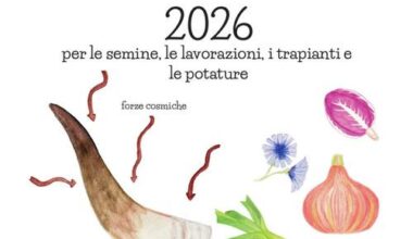 Calendario Biodinamico 2026 Le Madri