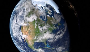 Cosa sono microrganismi effettivi