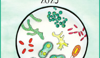 Calendario Biodinamico 2025 La Biolca