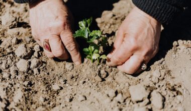 Calendario biodinamico per le semine e le lavorazioni 2026